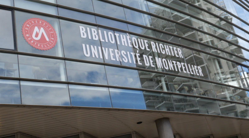 Universite montpellier The Times Higher Education Impact Rankings 4