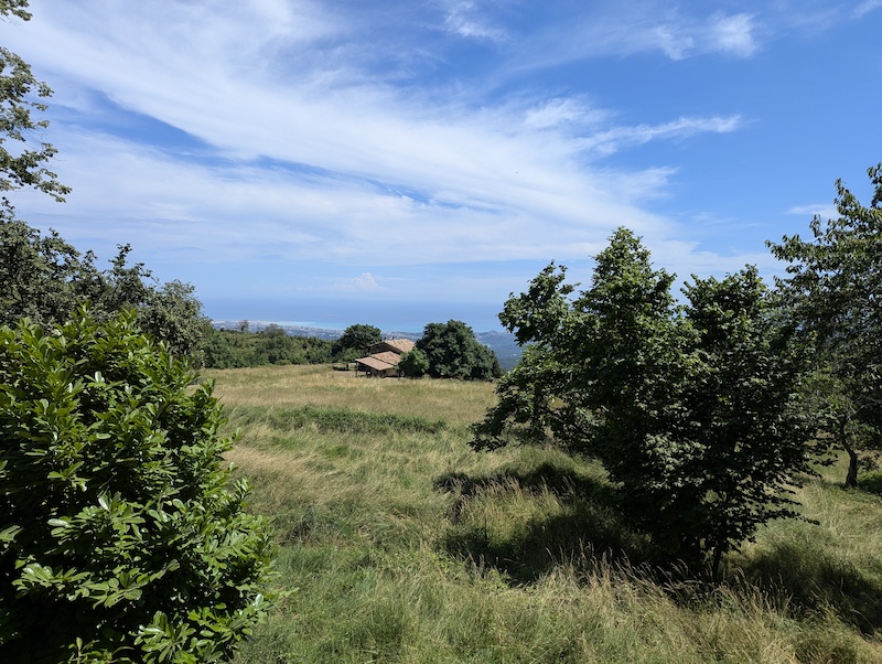 Leonetti CASA domaine du caïre 5