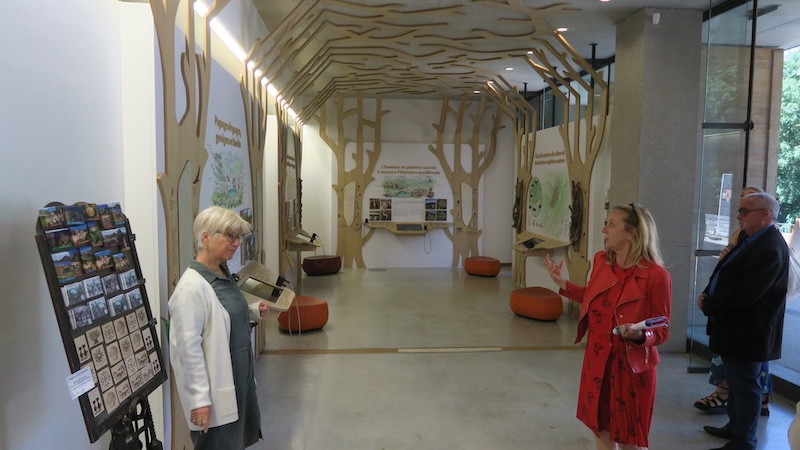 inauguration espace decouverte MGSF 4