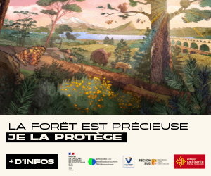 OCC 2025 Prevention Incendie 300x250px avecCTA