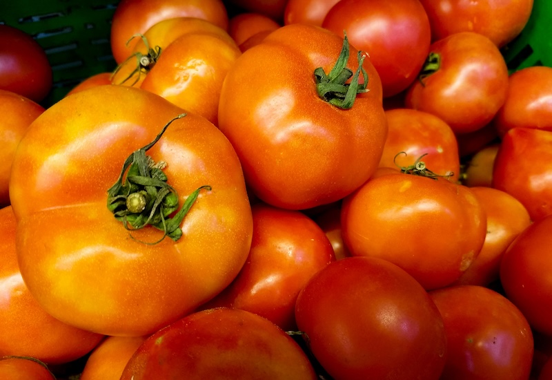 Tomates perpignan