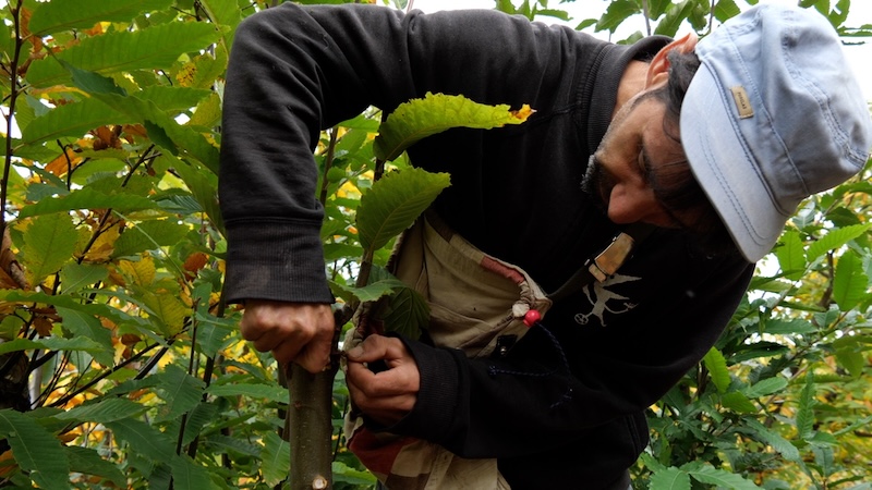 agriculture de ceze11