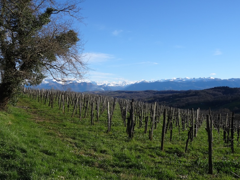 Vignoble Jurançon