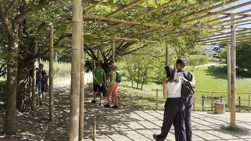 Ales agglomeration voeux anduze