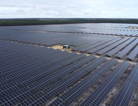 DCIM100MEDIADJI 0890.JPG