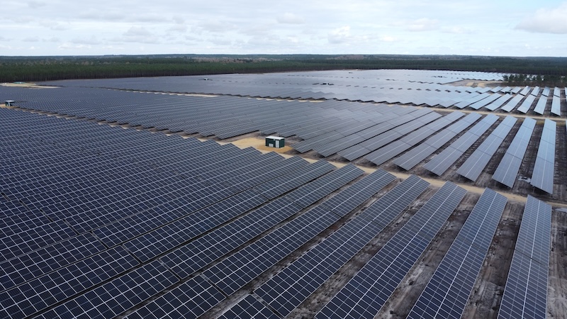 DCIM100MEDIADJI 0890.JPG