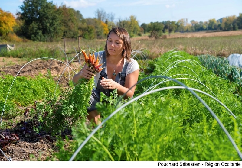 Foster region occitanie 3