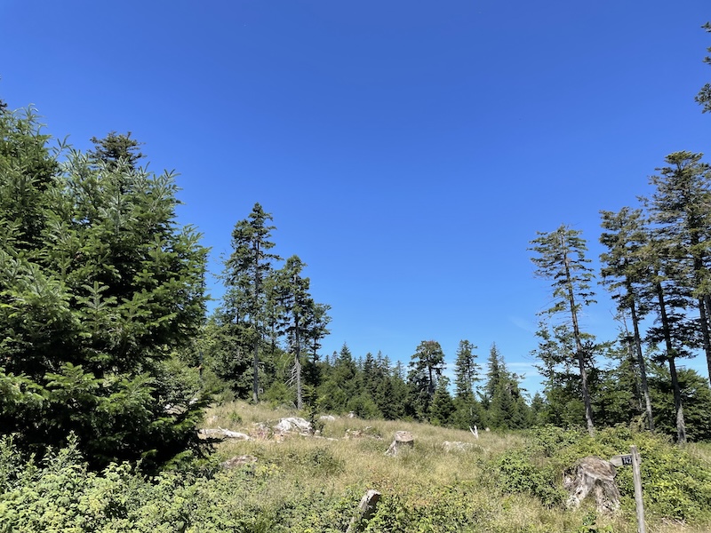 préservation biodiversité gard 1 ©Jérémy Flament