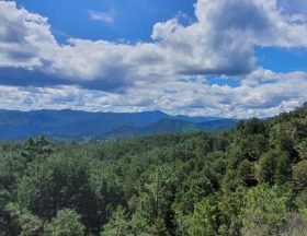 préservation biodiversité gard