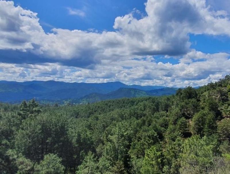 préservation biodiversité gard