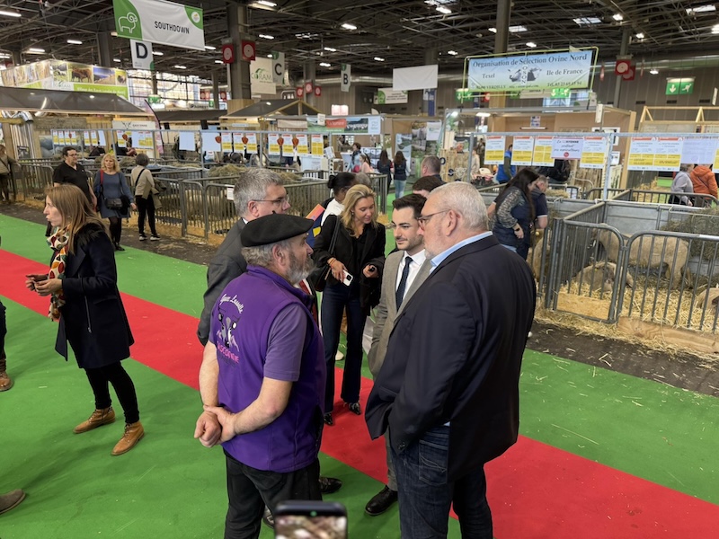 Carcassonne Christophe Barthès 3