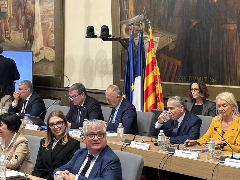 Louis Aliot, Perpignan 3