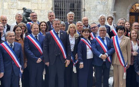 Louis Aliot, Perpignan 1