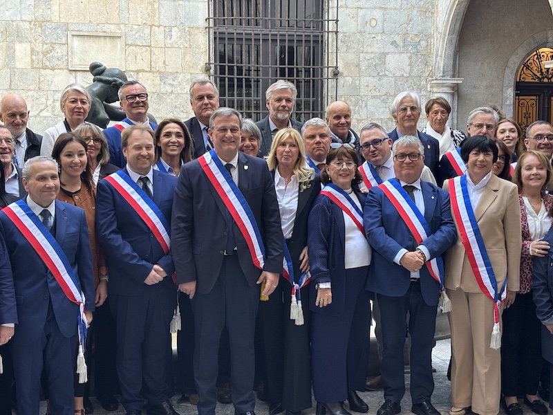 Louis Aliot, Perpignan 1