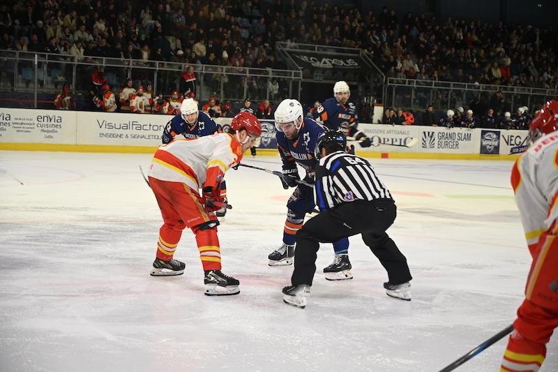 Vipers de Montpellier photo 12