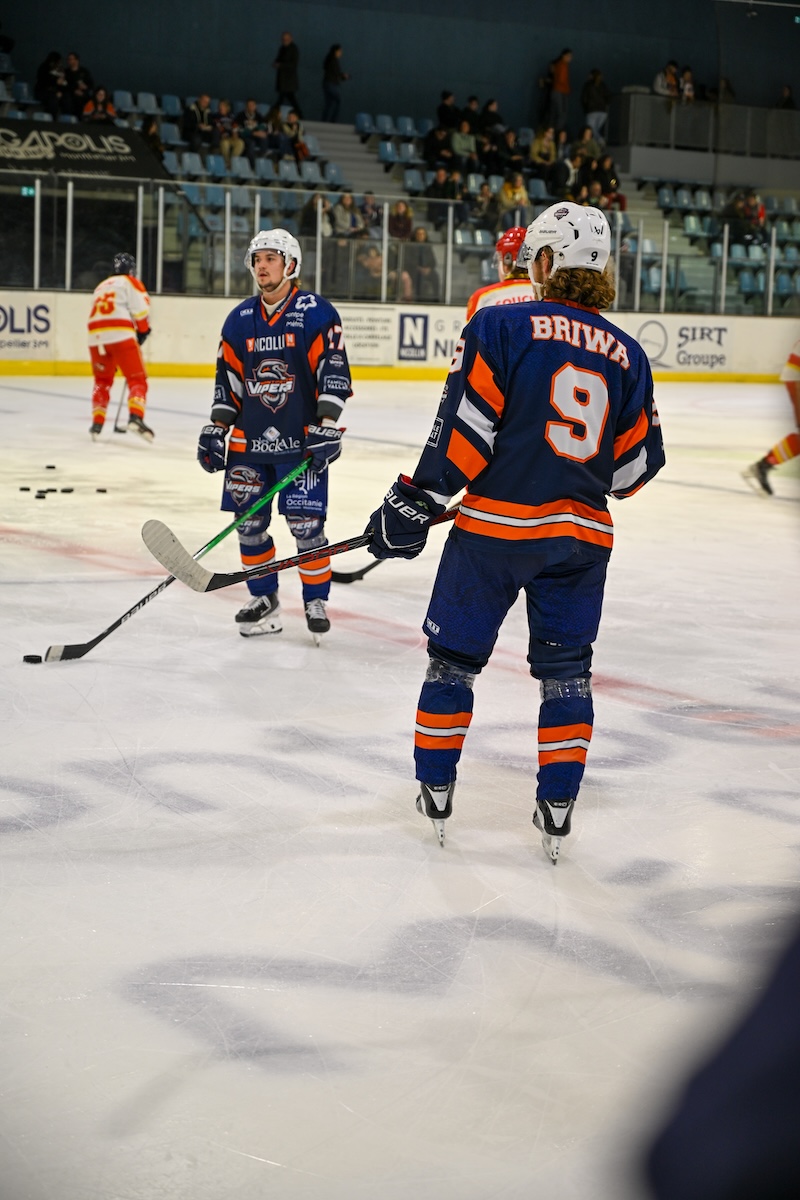 Vipers de Montpellier photo 4