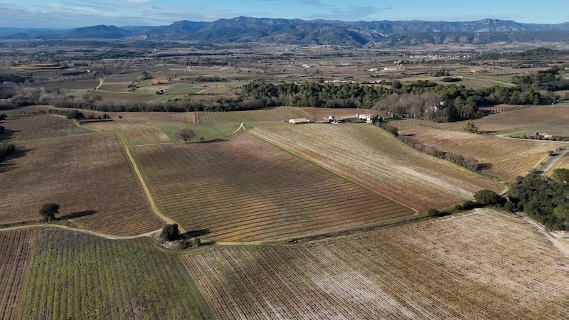 ccvh concours vins 1