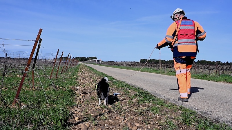 veolia chiens fuites 3