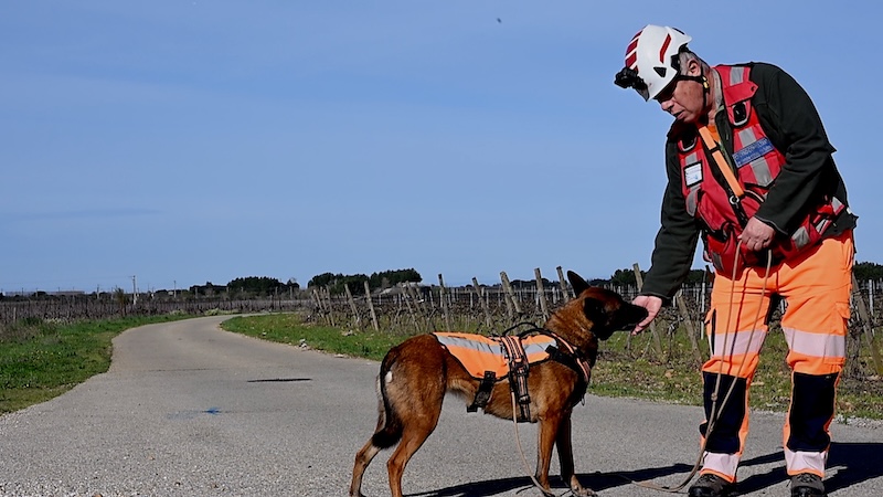 veolia chiens fuites