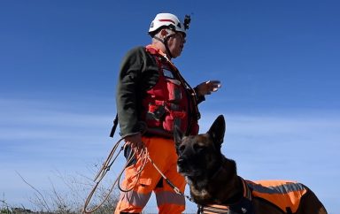 veolia chiens fuites2