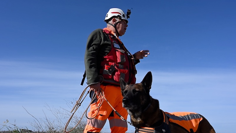 veolia chiens fuites2