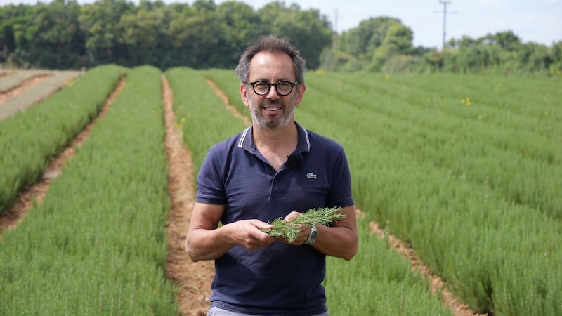 Bio Palm Sainte Soulle