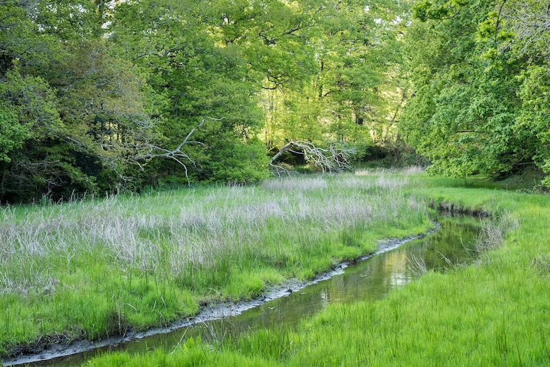Forum des marais atlantiques