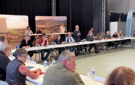 de ceze election martin8