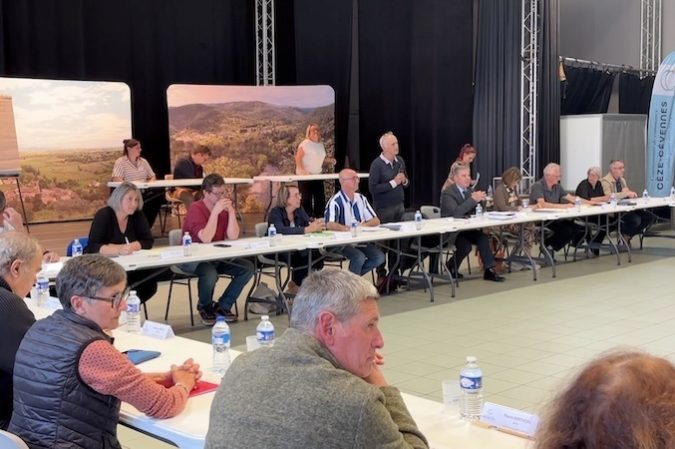 de ceze election martin8