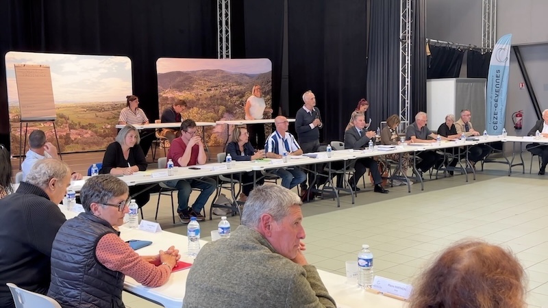 de ceze election martin8