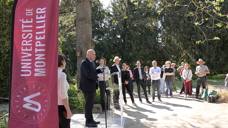 jardin des plantes 3