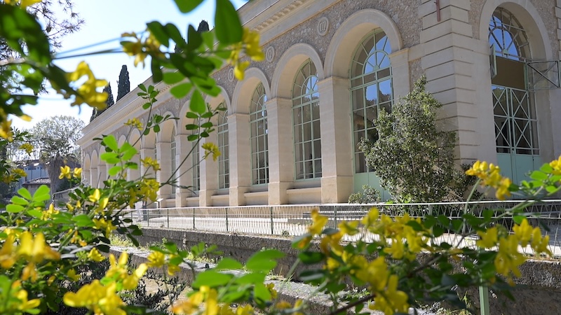jardin des plantes 5