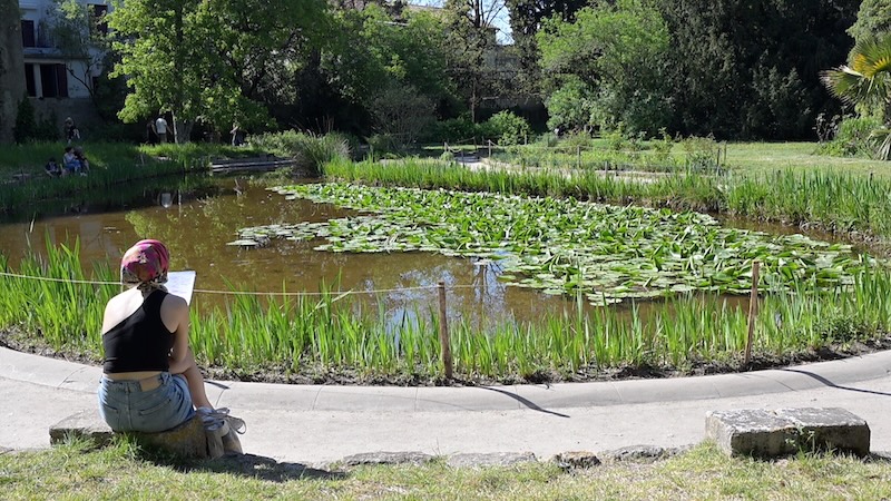 jardin des plantes 7