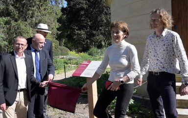 jardin des plantes 9