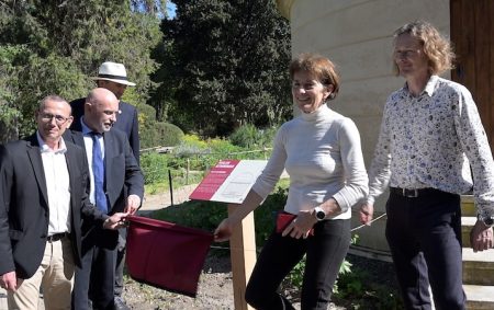 jardin des plantes 9