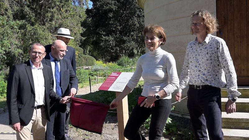 jardin des plantes 9