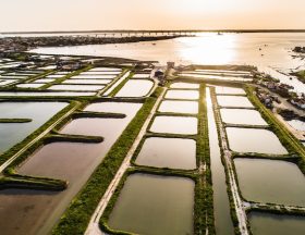pontdemarennes huitrescharentemaritimehcm
