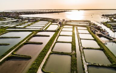 pontdemarennes huitrescharentemaritimehcm