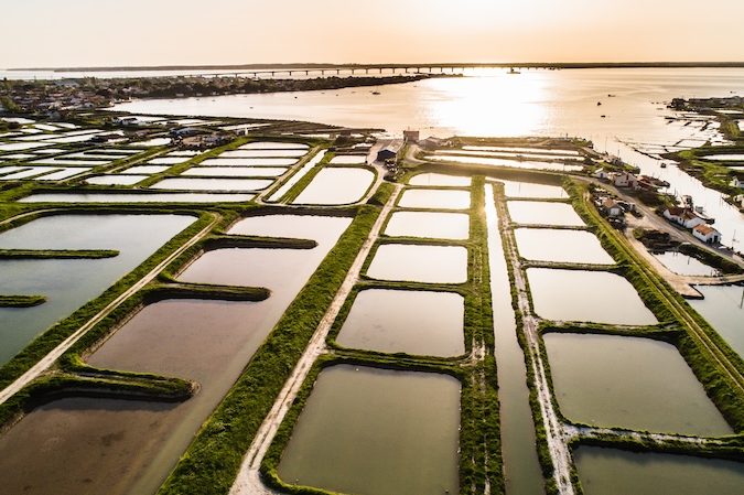 pontdemarennes huitrescharentemaritimehcm
