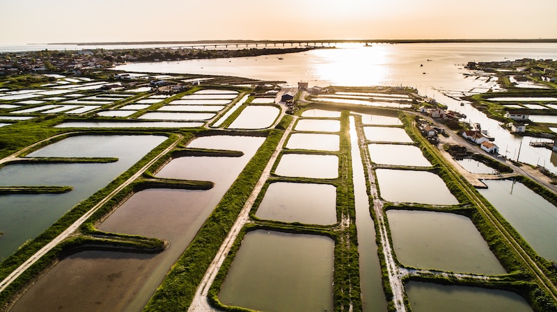pontdemarennes huitrescharentemaritimehcm