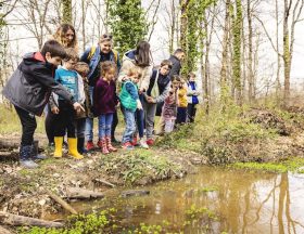 Animation Frequence Grenouille Maison Biodiversite Foret Buzet Alis Mirebeau 14 1