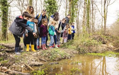 Animation Frequence Grenouille Maison Biodiversite Foret Buzet Alis Mirebeau 14 1