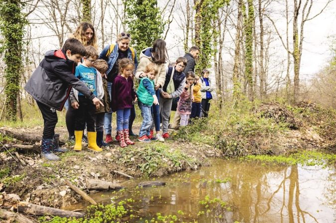 Animation Frequence Grenouille Maison Biodiversite Foret Buzet Alis Mirebeau 14 1