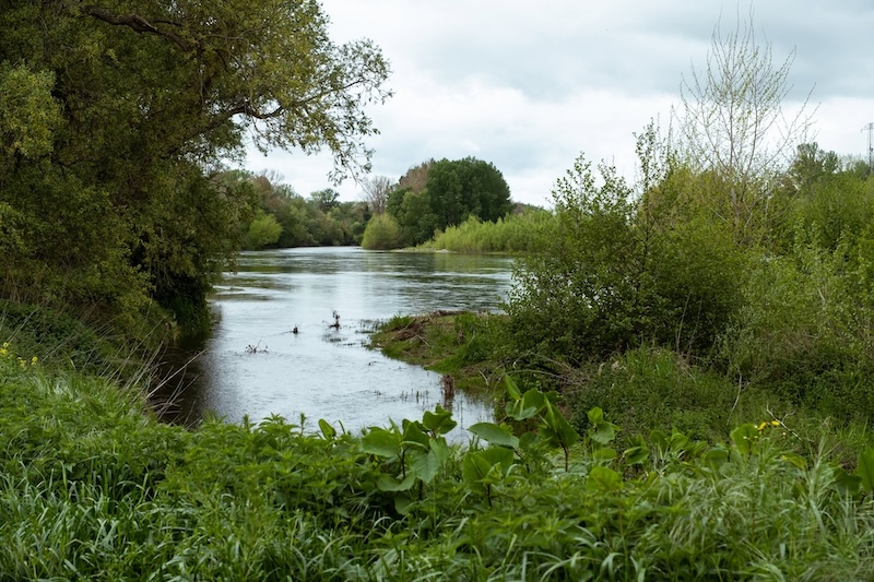 Haute garonne biodiversité 1