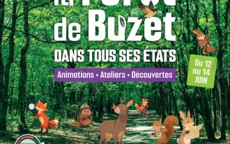 Haute garonne biodiversité Foret du Buzet