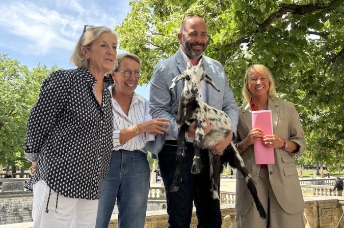 Nimes journées des saveurs Main Article