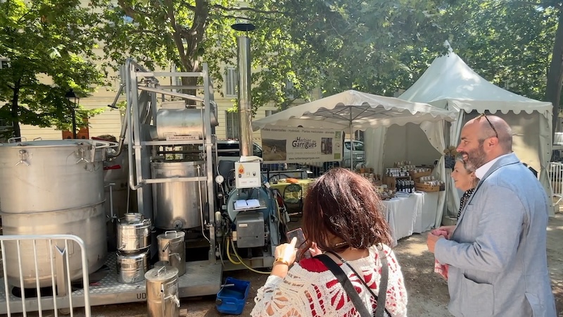 Nimes journées des saveurs alembic