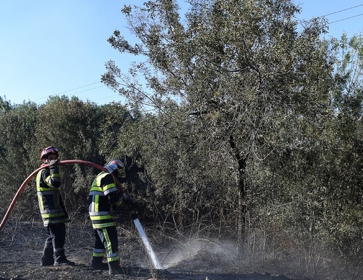Provence-Alpes-Côte-d'Azur : La Région Sud met à disposition ses agents pompiers volontaires pour aider à lutter contre les incendies