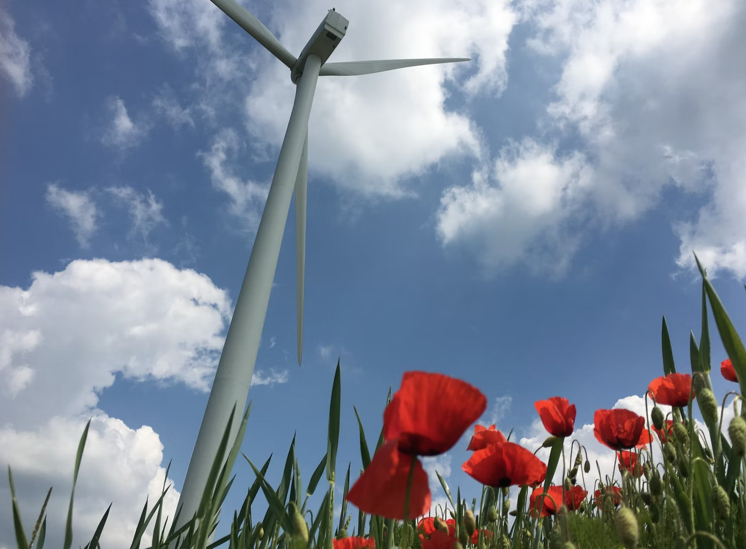 Nîmes : VSB énergies nouvelles veut intégrer le top 5 des producteurs d'énergies renouvelables indépendants français