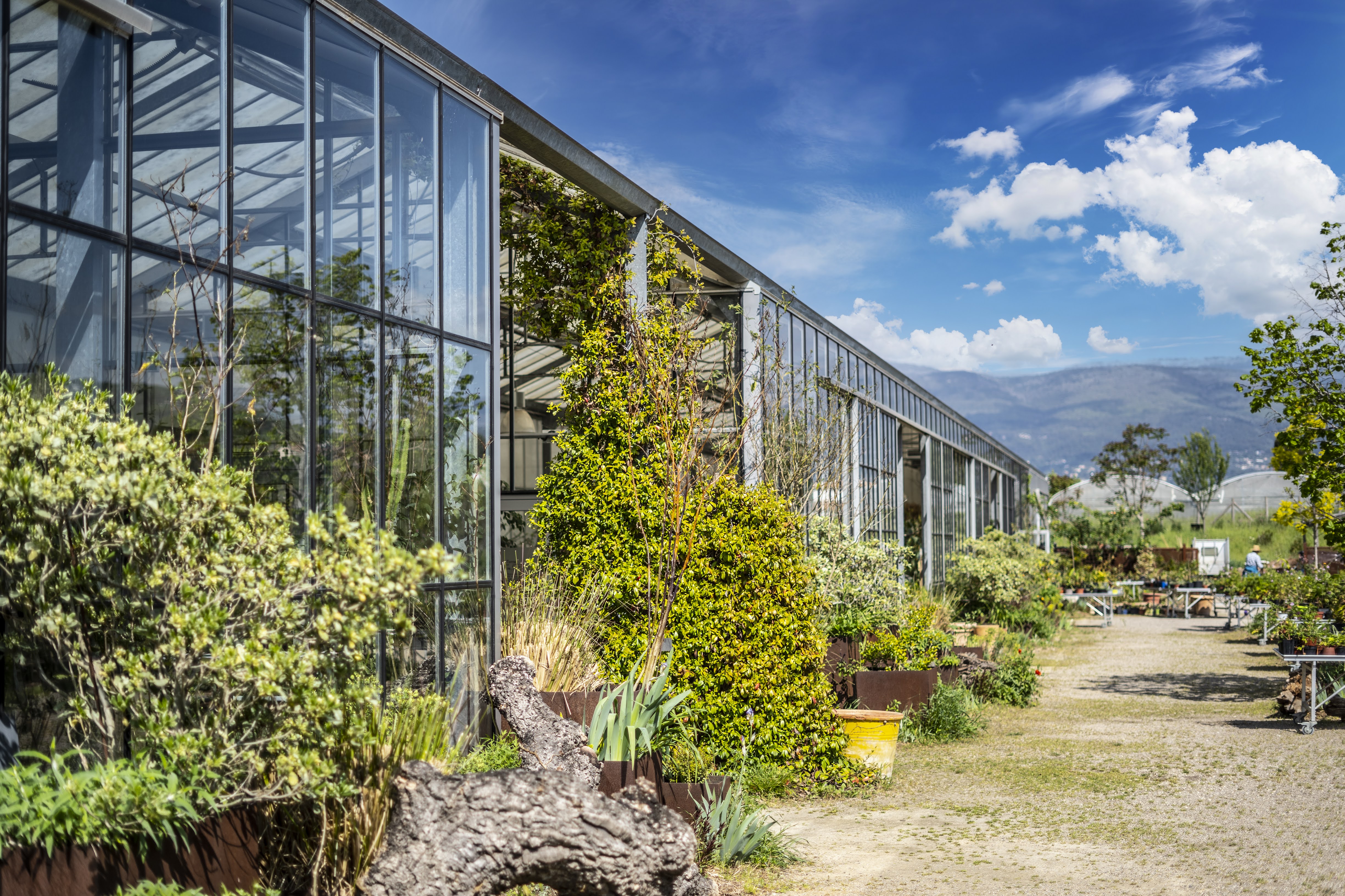 Pays de Grasse : Les Jardins du Musée International de la Parfumerie reçoivent le label Jardin Remarquable